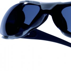 DELTA PLUS PACAYA FÜME GÜVENLİK GÖZLÜĞÜ